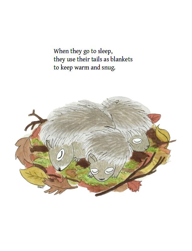 A Squirrel's Winter, Children's Book written by Jan Brown Shedd, illustrated by Dorothy Tully