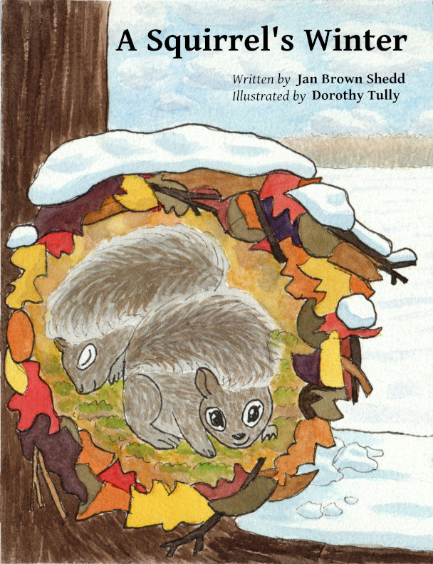 A Squirrel's Winter, Children's Book written by Jan Brown Shedd, illustrated by Dorothy Tully