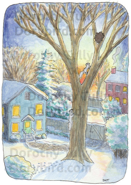 Squirrel's Winter Evening: 8x10 watercolor fine art print by Dorothy Tully