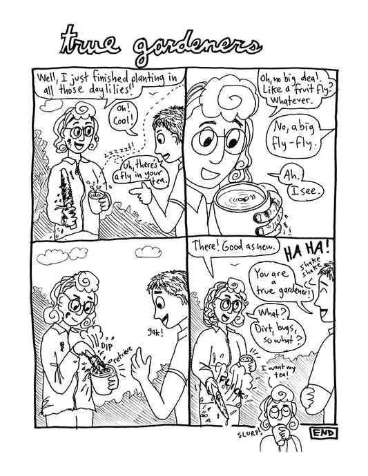 Casserole - Comic Book written and illustrated by Dorothy Tully