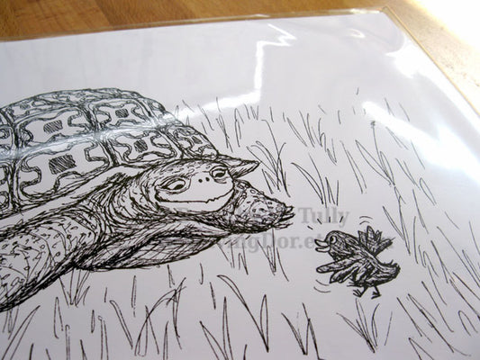 Wisdom Tortoise 8.5x11 Illustration Art Print