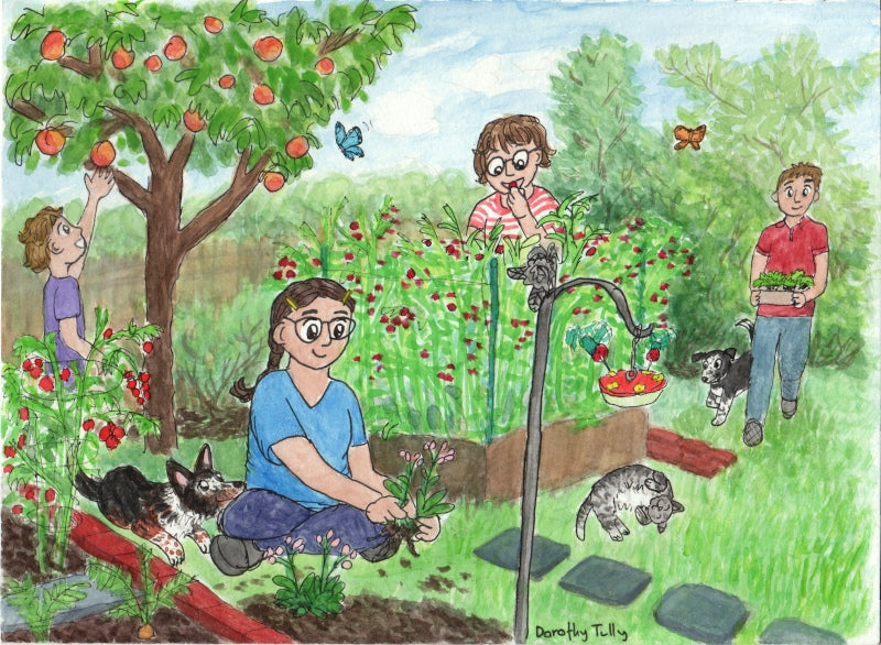 A hand painted watercolor illustration of a family gardening in the backyard with pets, butterflies, raspberries, peaches, tomatoes by artist Dorothy Tully