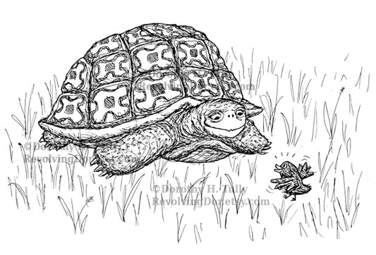 Wisdom Tortoise 8.5x11 Watercolor Art Print